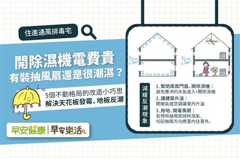 房間濕氣重|家裡太潮濕，房間反覆發霉怎麼辦？韓國專家教你用9個便宜好物…